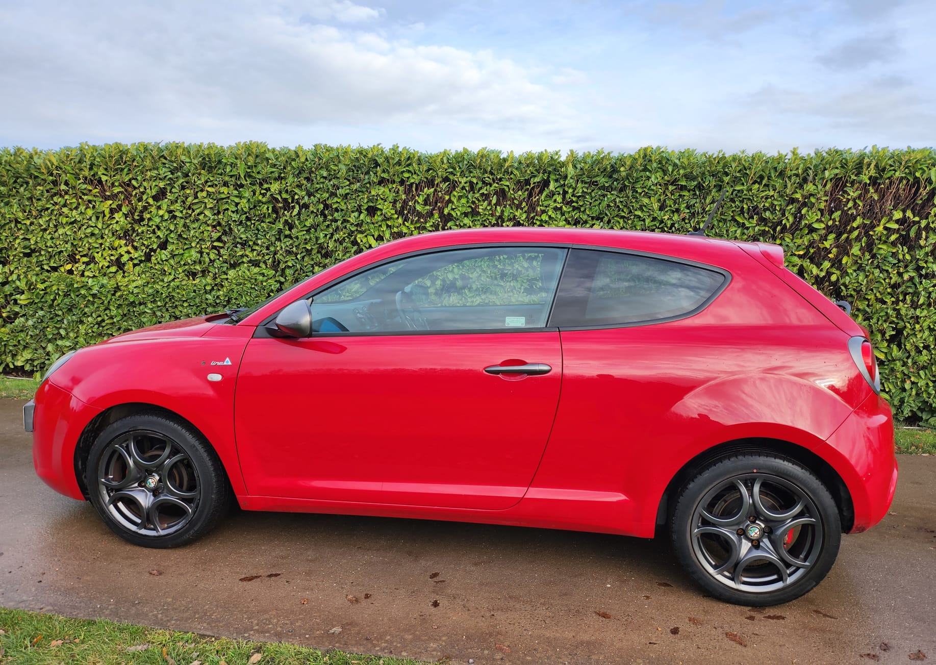 
								Alfa Romeo full									