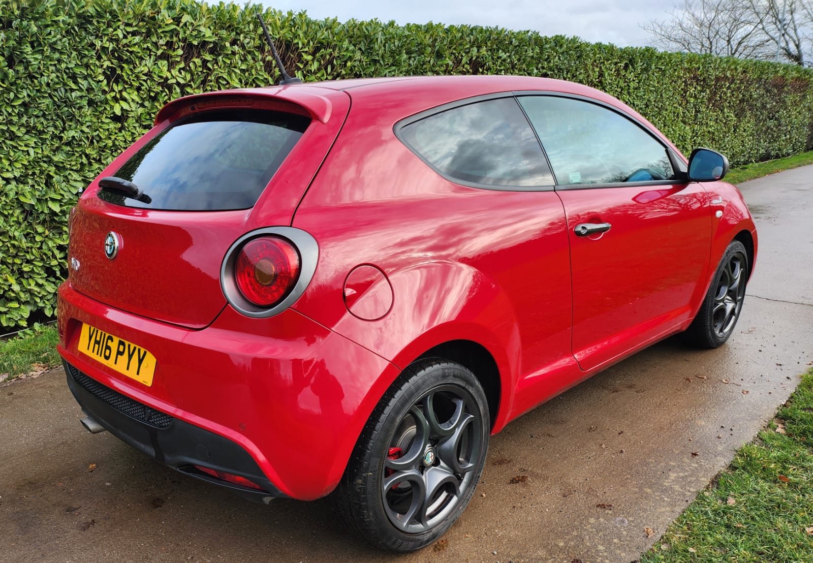 
								Alfa Romeo full									