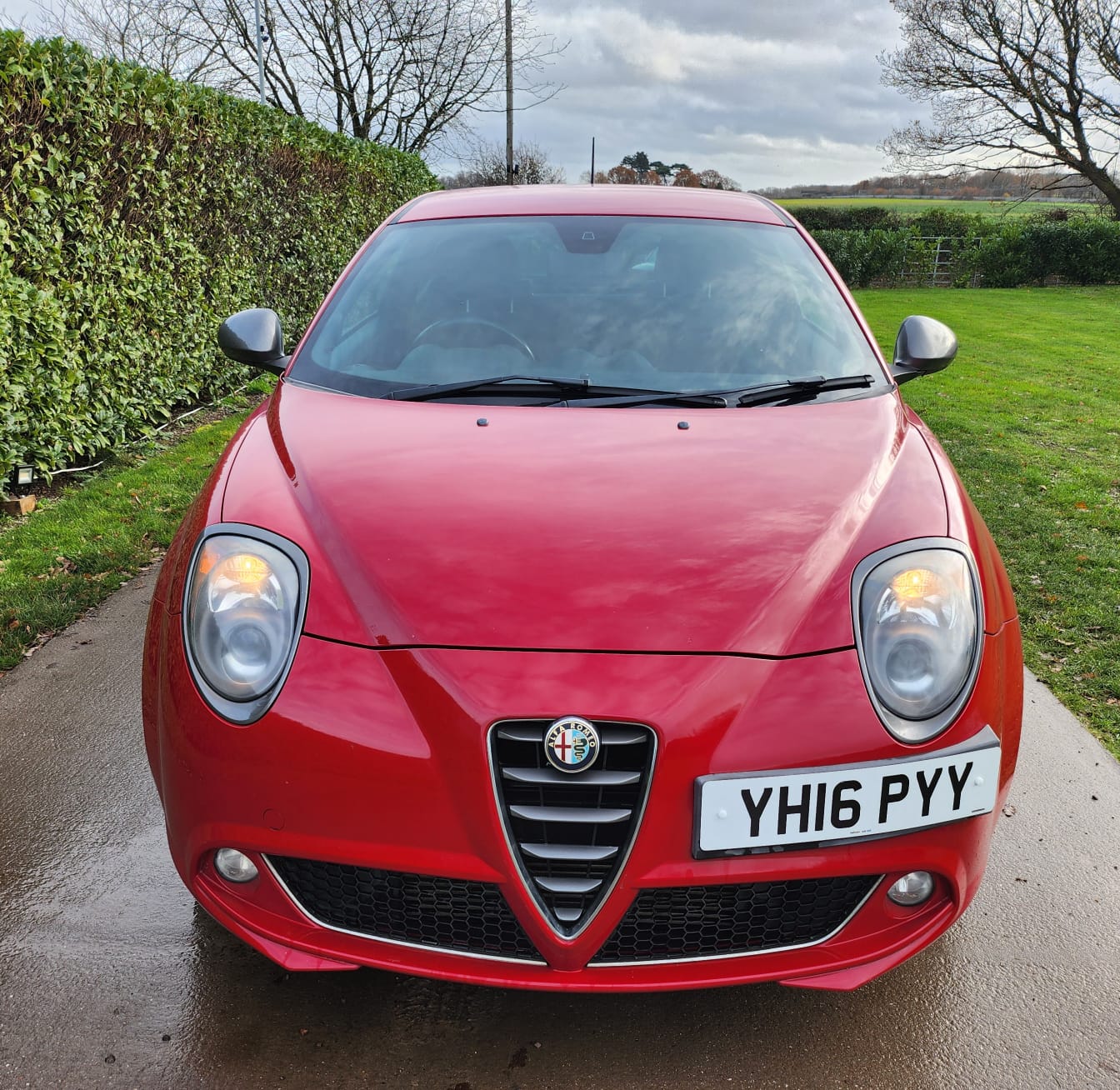 
								Alfa Romeo full									